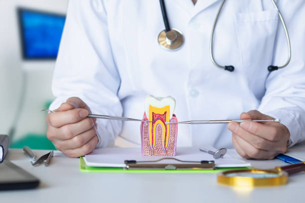 Best Emergency Dental Care for Trauma or Injury in Canton, OH